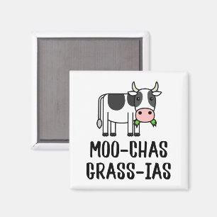 Íman Moo-chas Grass-ias, Muchas Gracias dão Vaca