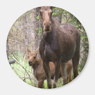 Íman Moose Animal Forest Peace Love Destiny