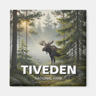 Íman Moose na Suecia do Parque Nacional de Tiveden