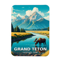Moose no Parque Nacional de Grand Teton