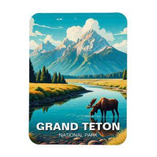 Íman Moose no Parque Nacional de Grand Teton