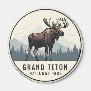 Íman Moose no Parque Nacional de Grand Teton