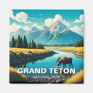 Íman Moose no Parque Nacional de Grand Teton