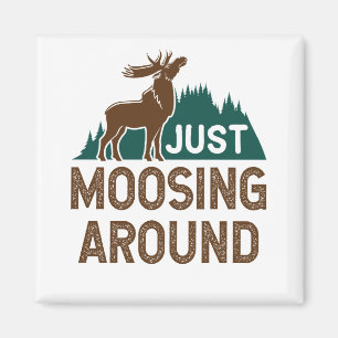 Íman Moose só se movendo