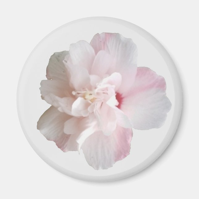 Íman Morango Rosa Smoothie Althea Magnet (Frente)