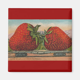 Íman Morangos Giant Antiguidade Diversão da Fruta