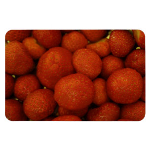 Íman Morangos Juizados — Magneta Premium