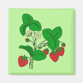 Íman Morangos para o café da manhã