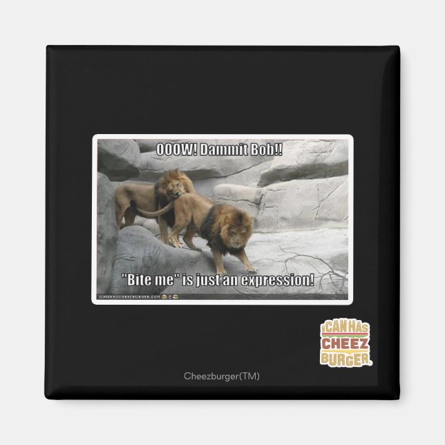 Íman Morda-me é só uma expressão! (Frente)