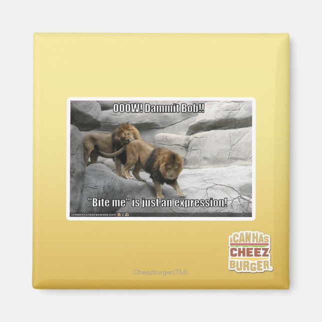 Íman Morda-me é só uma expressão! (Frente)