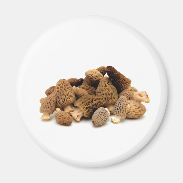Íman Morel Mushroom (Frente)