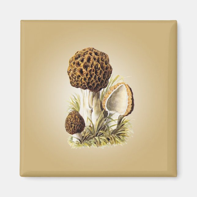 Íman Morel Mushroom Magnet (Frente)