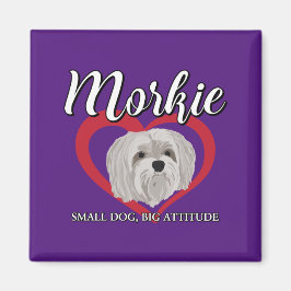 Íman Morkie - Cachorro Pequeno, Grande Atitude - 3