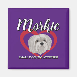 Íman Morkie - Cachorro Pequeno, Grande Atitude - 3