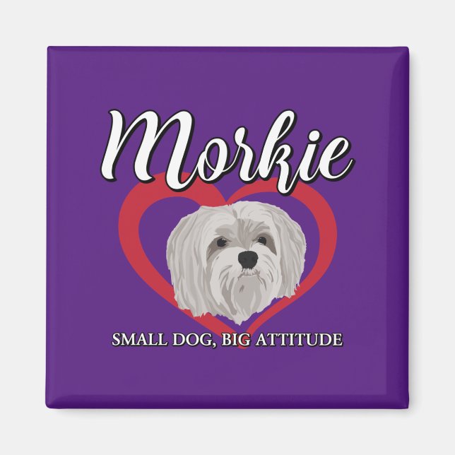 Íman Morkie - Cachorro Pequeno, Grande Atitude - 3 (Frente)