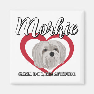 Íman Morkie - Pequeno Cão Grande Atitude 3