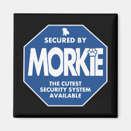 Íman Morkie-Segurança-Azul