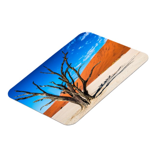 Íman Morto em Deadvlei, Namíbia (Left Side)