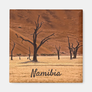 Íman Morto Vlei Namibia, foto da paisagem com texto