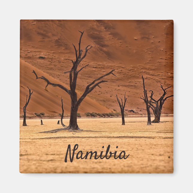 Íman Morto Vlei Namibia, foto da paisagem com texto (Frente)