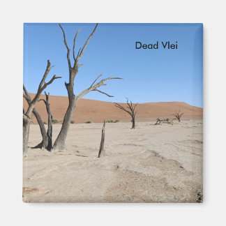 Íman Morto Vlei, Namíbia Magnet