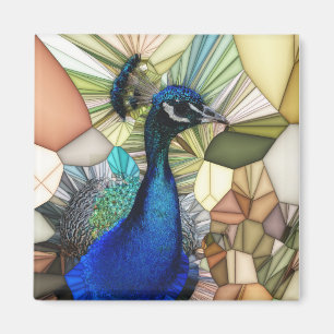 Íman Mosaico Colorido de Peacock