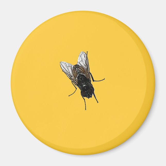 Íman mosca (Frente)