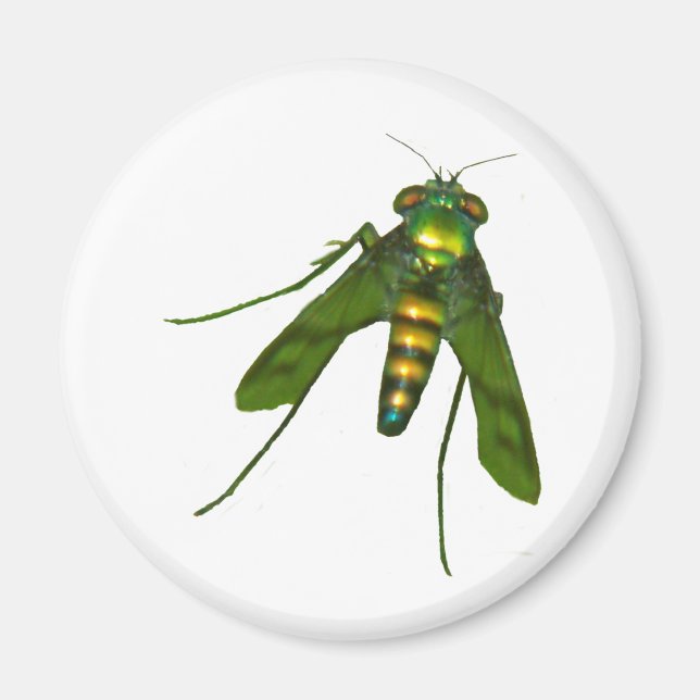 Íman mosca (Frente)