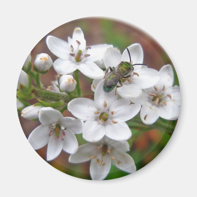 Íman Mosca Branca de Flores e Abelhas (Frente)