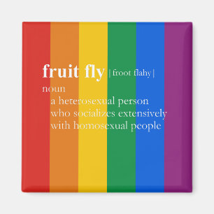 ÍMAN MOSCA DE FRUTA