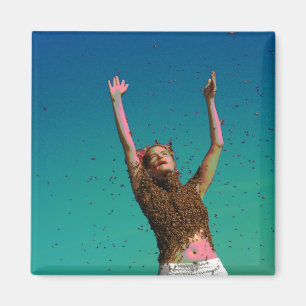 Íman mosca em a noite