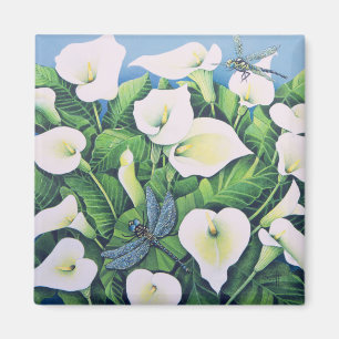 Íman Moscas Dragão