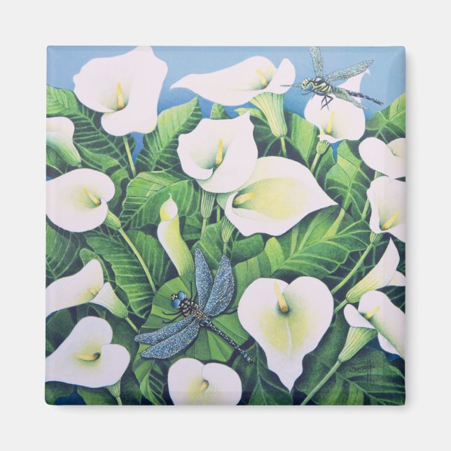 Íman Moscas Dragão (Frente)