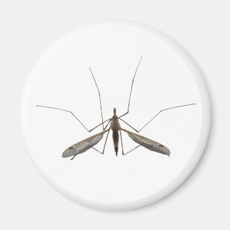 Íman Mosquito