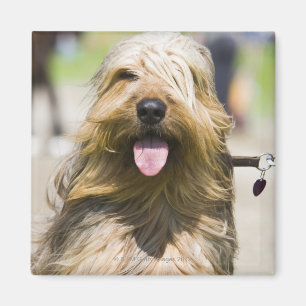 Íman mostrando a língua, cabelo longo, retrato