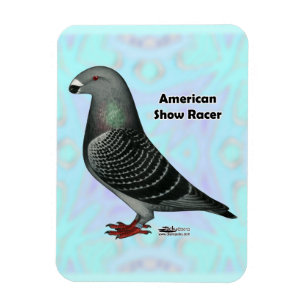 Íman Mostrar ASR do Racer