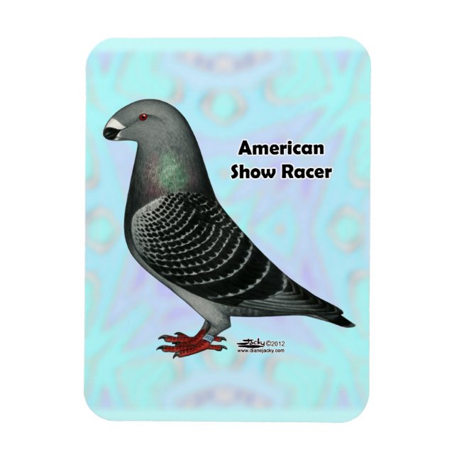 Íman Mostrar ASR do Racer (Vertical)