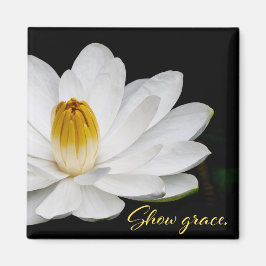 Íman Mostrar o Magneto de Graça