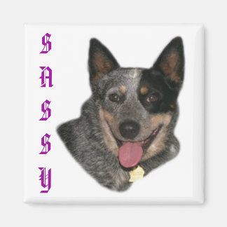 Íman Mostre seu orgulho