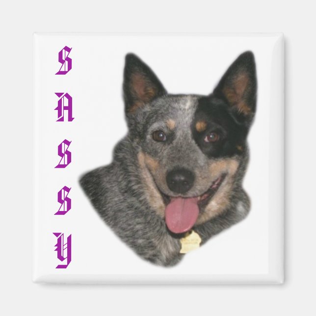 Íman Mostre seu orgulho (Frente)