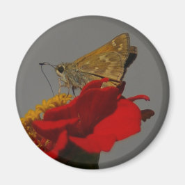 Íman Moth