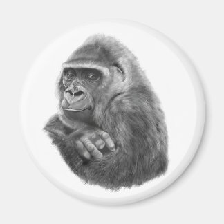 Íman Mother gorilla Magnet  母ゴリラのマグネッド