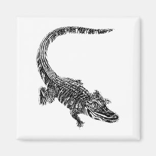 Íman Motivo de crocodilo e jacaré Répteis Dentes Animal