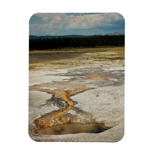 Íman Motivos Pintados Magnete Premium (Vertical)