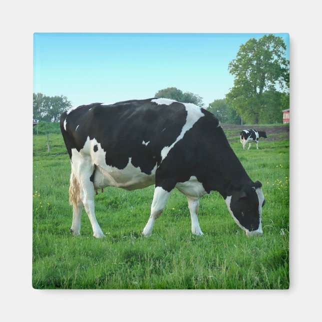 Íman Motoveleiras (Frente)