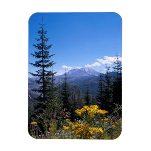Íman Mount Saint Helens
