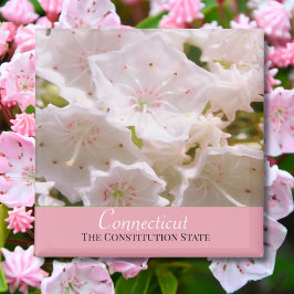 Íman Mountain Laurel Flor do Estado de Connecticut