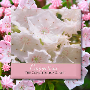 Íman Mountain Laurel Flor do Estado de Connecticut