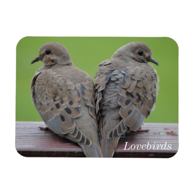 Íman Mourning Doves (Horizontal)