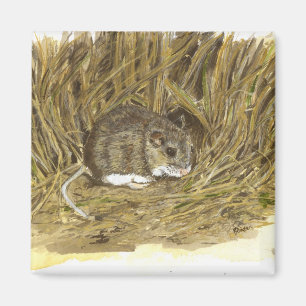 Íman Mouse de Campo